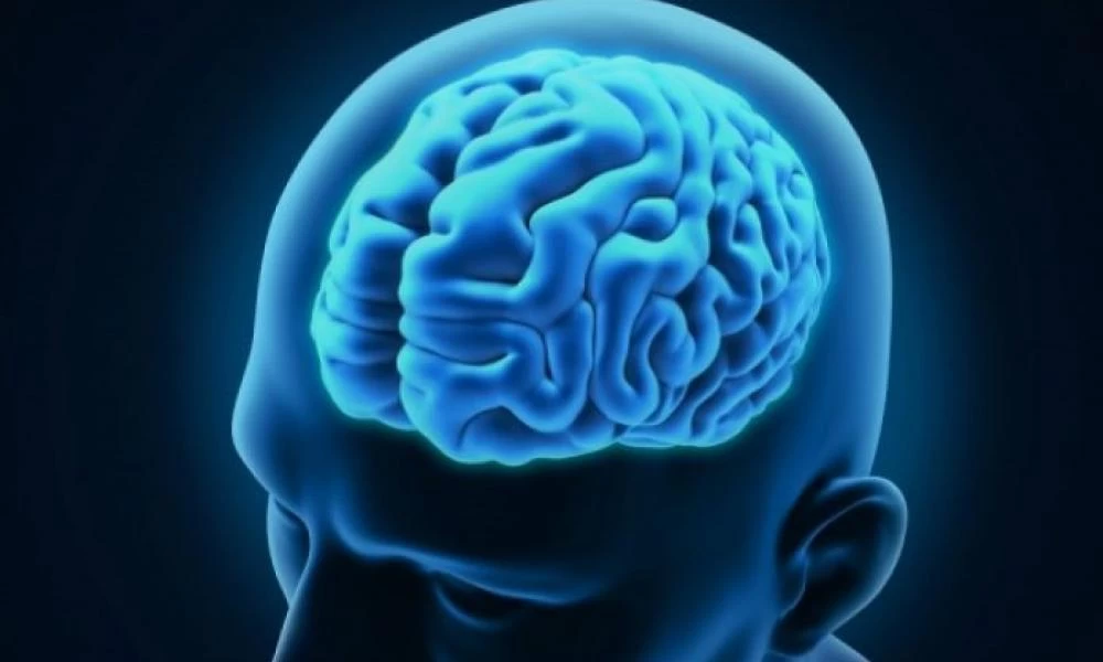 Η ασπίδα προστασίας του εγκεφάλου σας